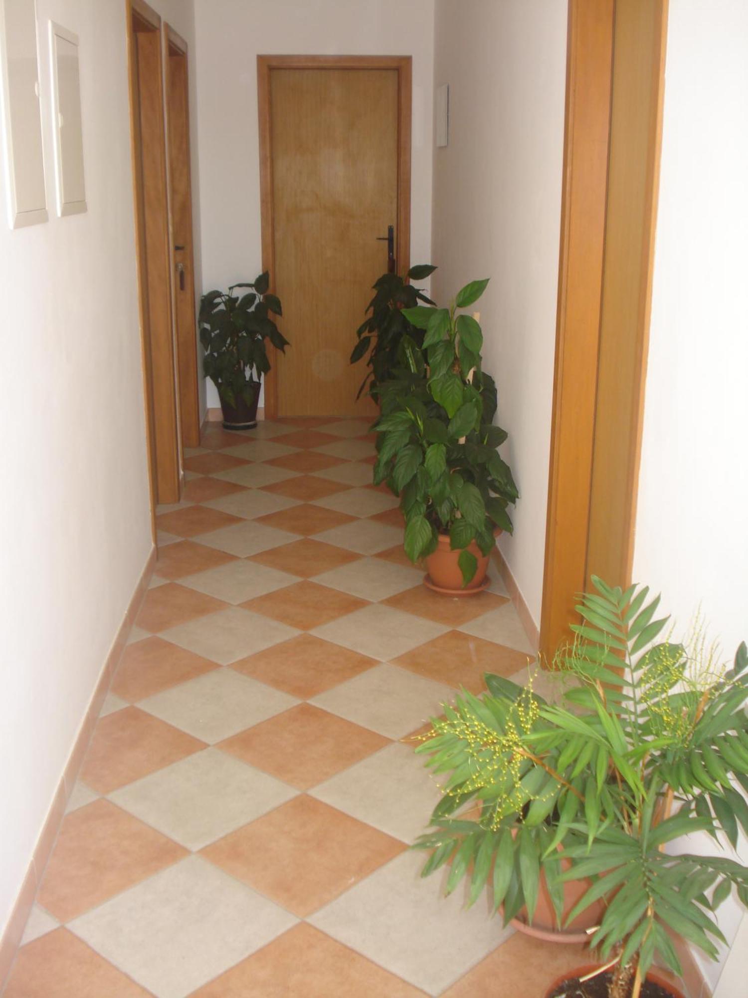 Apartments San Giorgio Sućuraj Zewnętrze zdjęcie